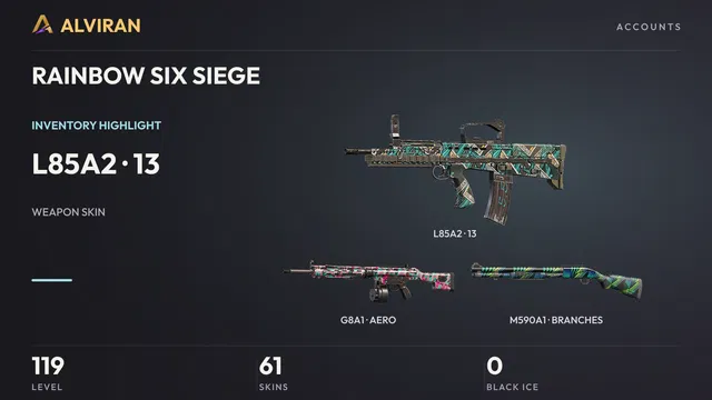RAINBOW SIX SIEGE · Level 119 · 13 · L85A2, AERO · G8A1, BRANCHES · M590A1