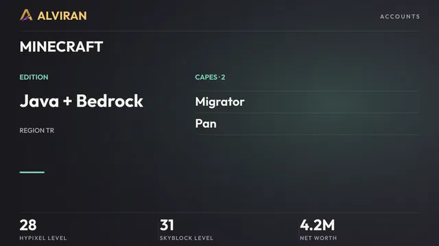 MINECRAFT · Level 28 · Migrator, Pan