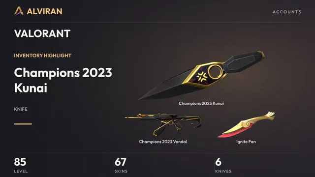 VALORANT · Level 85 · Champions 2023 Kunai · Melee, Champions 2023 Vandal, Ignite Fan · Melee
