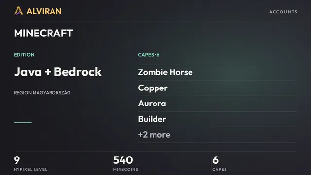 MINECRAFT · Level 9 · Zombie Horse, Copper, Aurora, Builder