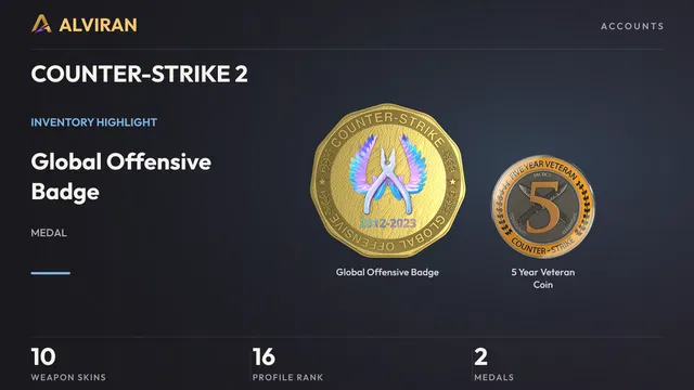 COUNTER-STRIKE 2 · Level 16 · Global Offensive Badge, 5 Year Veteran Coin