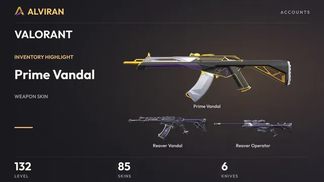 VALORANT · Level 132 · Prime Vandal, Reaver Vandal, Reaver Operator