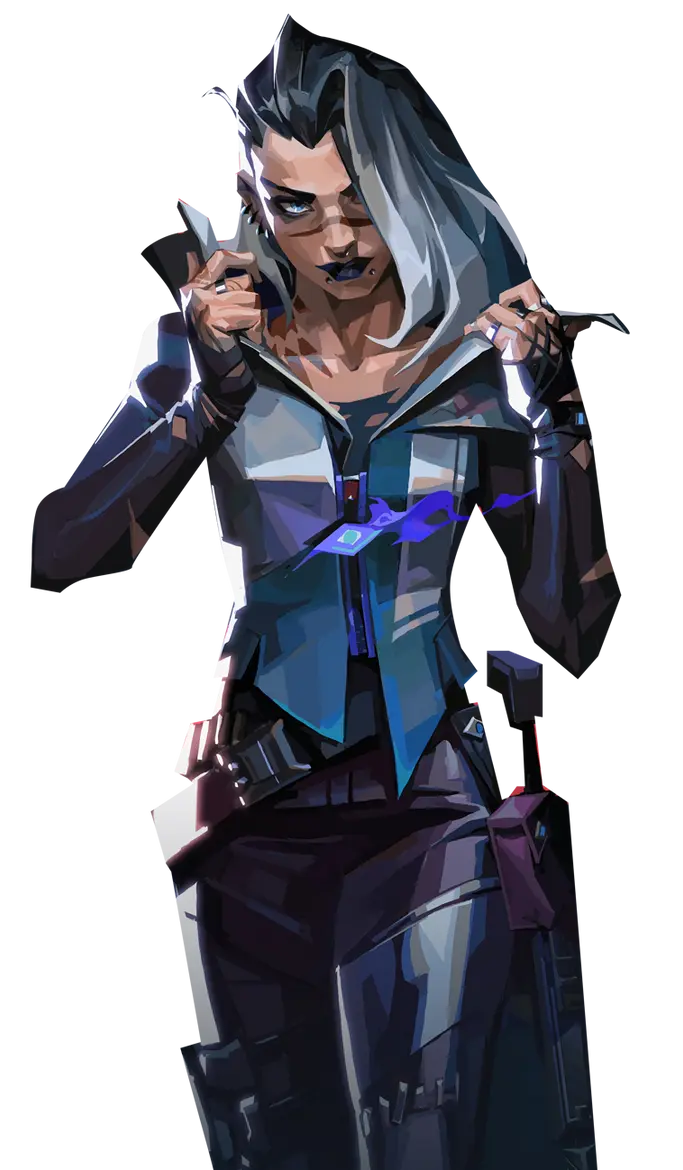 Valorant custom account hero