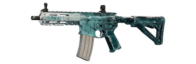 R6 R4-C Black Ice weapon skin