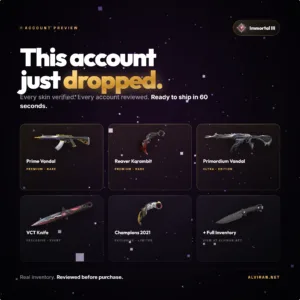 VALORANT-Account-Vorschau mit sichtbaren Prime- und Champion-Skins