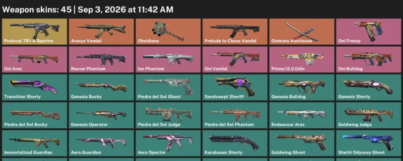 Valorant account inventory for LVL 204 · Araxys Vandal & Endeavour Vandal