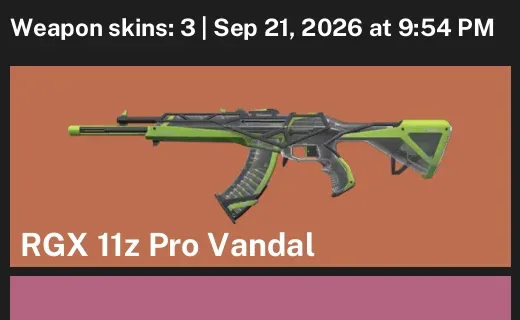Valorant account inventory for LVL 28 · RGX 11z Pro Vandal & Oni Phantom