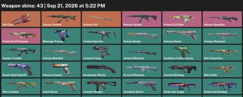 Valorant account inventory for LVL 242 · Araxys Vandal & 9 Lives Phantom