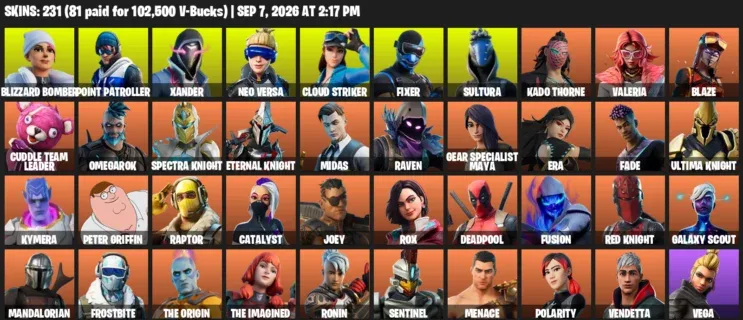 Fortnite account inventory for LVL 2653 - Blizzard Bomber - Point Patroller - 231 Outfits