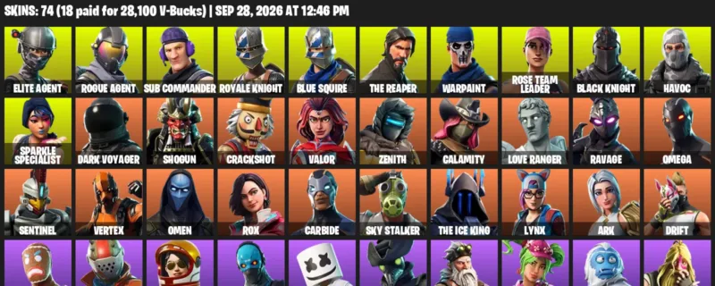 Fortnite account inventory for Elite Agent - Rogue Agent - 74 Outfits