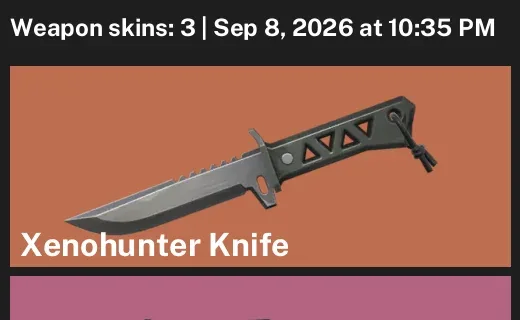 Valorant account inventory for LVL 29 · Xenohunter Knife & Oni Vandal