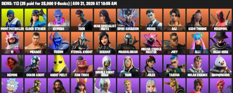 Fortnite account inventory for LVL 1866 - Point Patroller - Cloud Striker - 113 Outfits