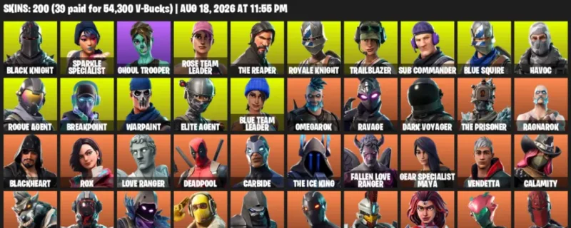 Fortnite account inventory for LVL 1447 - Black Knight - Sparkle Specialist - 200 Outfits