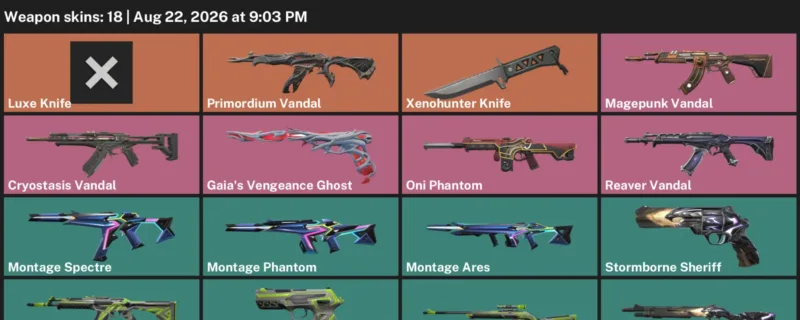Valorant account inventory for LVL 63 · Xenohunter Knife & Magepunk Vandal