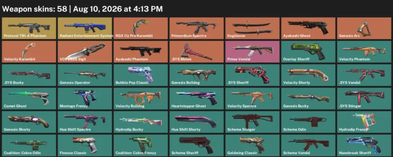 Valorant account inventory for LVL 205 · RGX 11z Pro Karambit & Velocity Karambit