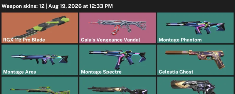 Valorant account inventory for LVL 48 · RGX 11z Pro Blade & Montage Phantom