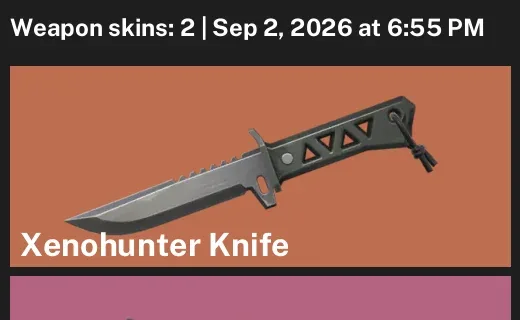 Valorant account inventory for LVL 17 · Xenohunter Knife & Origin Vandal