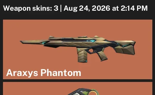 Valorant account inventory for LVL 31 · RGX 11z Pro Karambit & Araxys Phantom