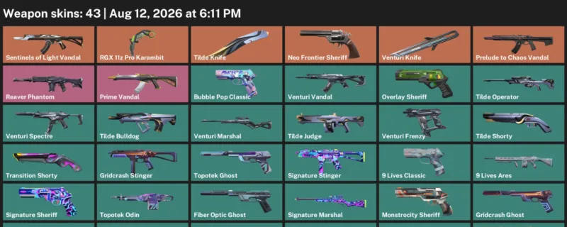 Valorant account inventory for LVL 293 · RGX 11z Pro Karambit & Tilde Knife