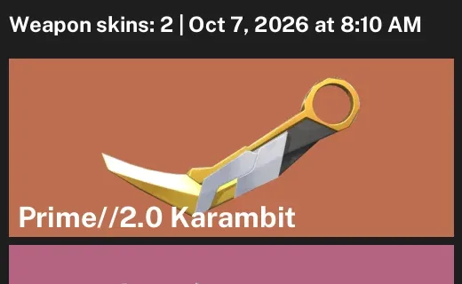 Valorant account inventory for LVL 33 · 2.0 Karambit & Ion Vandal