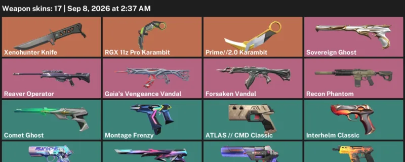 Valorant account inventory for LVL 211 · RGX 11z Pro Karambit & Xenohunter Knife