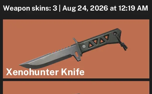 Valorant account inventory for LVL 39 · Xenohunter Knife & Divergence Vandal