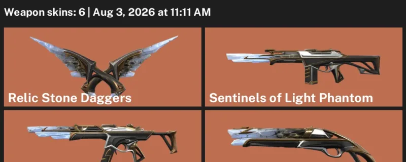 Valorant account inventory for LVL 9 · NO Limits Vandal & Relic Stone Daggers