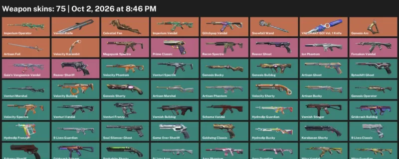 Valorant account inventory for LVL 207 · Velocity Karambit & Venturi Knife