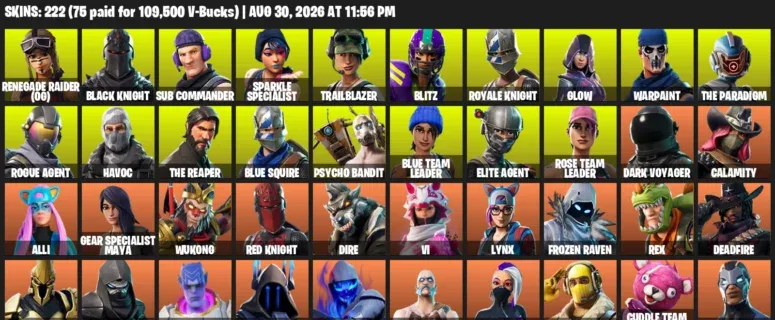 Fortnite account inventory for LVL 1400 - Renegade Raider (OG) - Black Knight - 222 Outfits