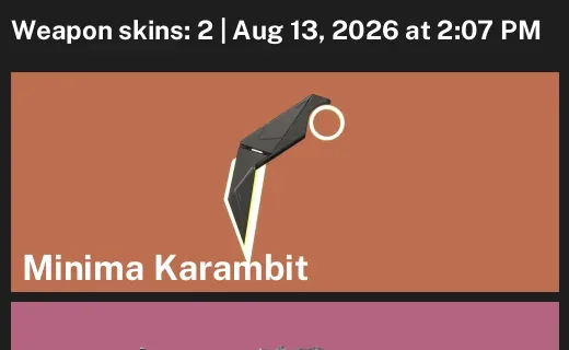 Valorant account inventory for LVL 23 · Minima Karambit & Reaver Vandal