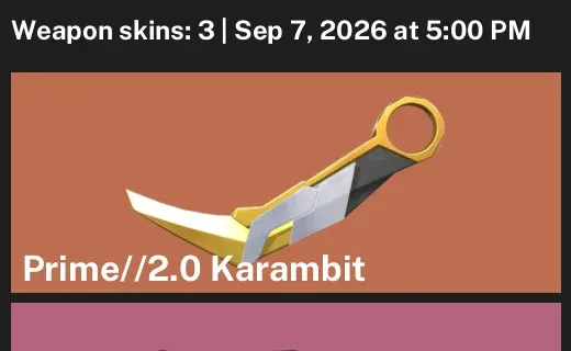 Valorant account inventory for LVL 53 · 2.0 Karambit & XerØFang Vandal