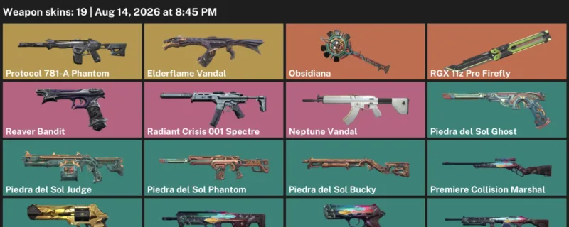 Valorant account inventory for LVL 53 · 19 Skins Elderflame Vandal & Neptune Vandal